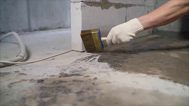 SJ Waterproofing Pros Crawl Space Encapsulation coverage map for Casnovia, MI and surrounding area